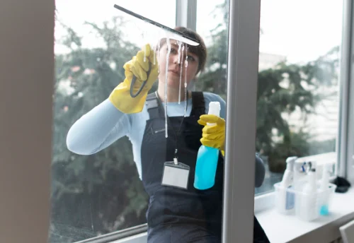 Nettoyage de vitres intérieures et extérieures à Smarves